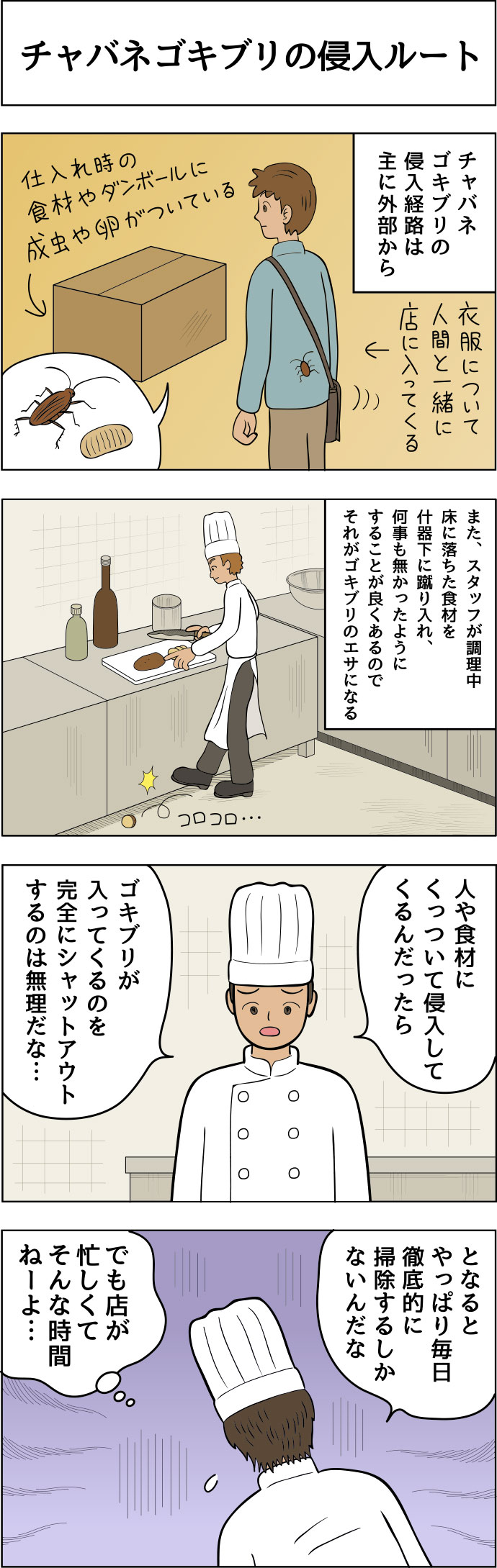 チャバネゴキブリの侵入ルート