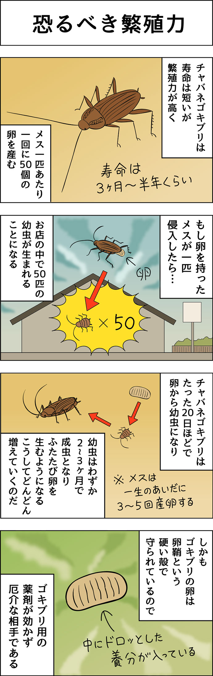 恐るべき繁殖力