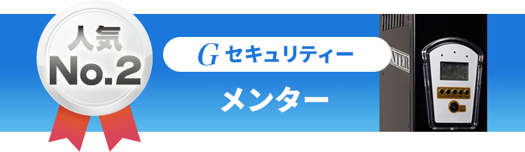人気No.2 [Gセキュリティー メンター]