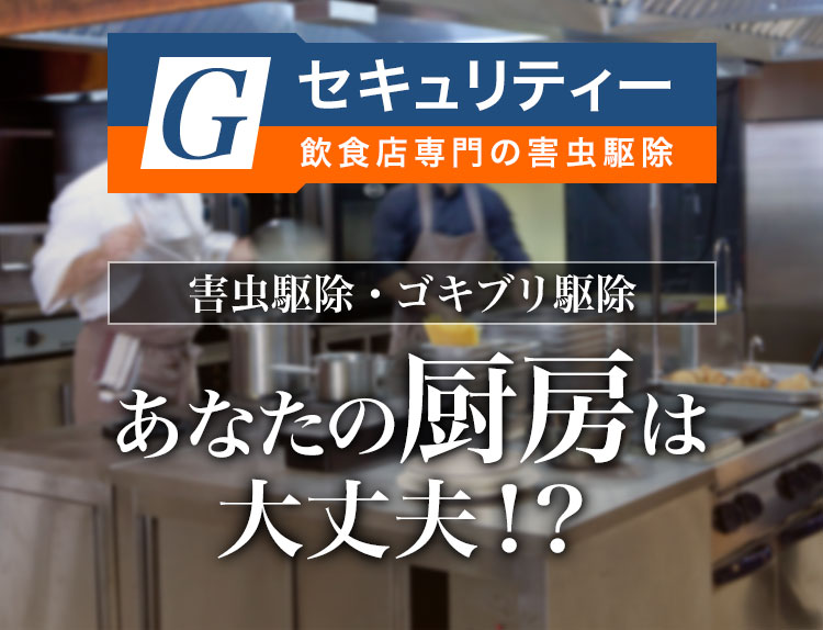 Gセキュリティー 飲食店専門の害虫駆除 あなたの厨房は大丈夫！？